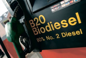 FUELLING WITH CORN WHEN UKRAINIAN BIOFUEL REPLACES THE RUSSIAN PETROLEUM (INFOGRPHICS)
